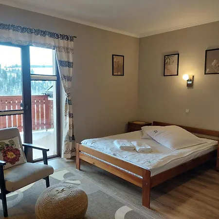 Willa Przekop - Apartamenty Sromowce Wyzne Room photo
