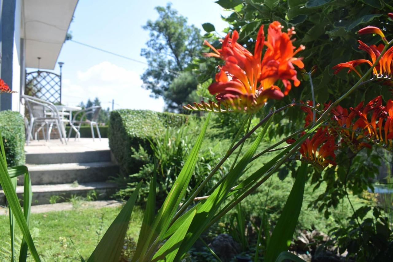 Apartment Przekop - *